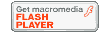 flash player download