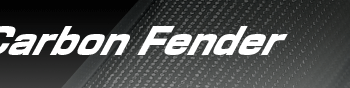 MUGEN Dry Carbon Fender