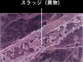 濾材拡大写真