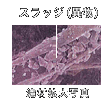 スラッジ