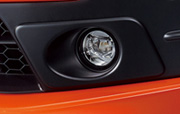 LED Fog Light (option)