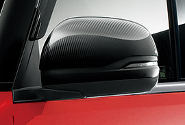 Carbon Door Mirror Cover