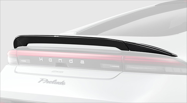 �J�[�{���e�[���Q�[�g�X�|�C���[ �C���[�W