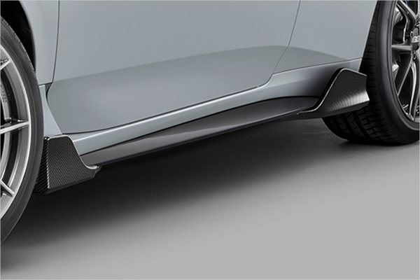 �J�[�{���e�[���Q�[�g�X�|�C���[