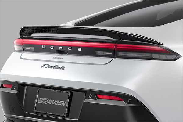 �J�[�{���e�[���Q�[�g�X�|�C���[