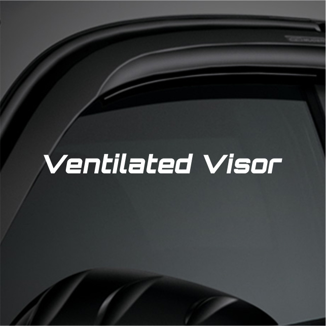 Ventilated Visor