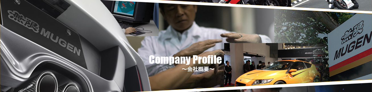 Company Profile