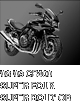 '08-'09 CB400 SUPER FOUR SUPER BOLD'OR